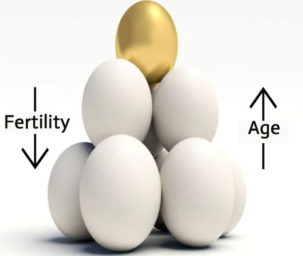 Ovarian Reserve Testing