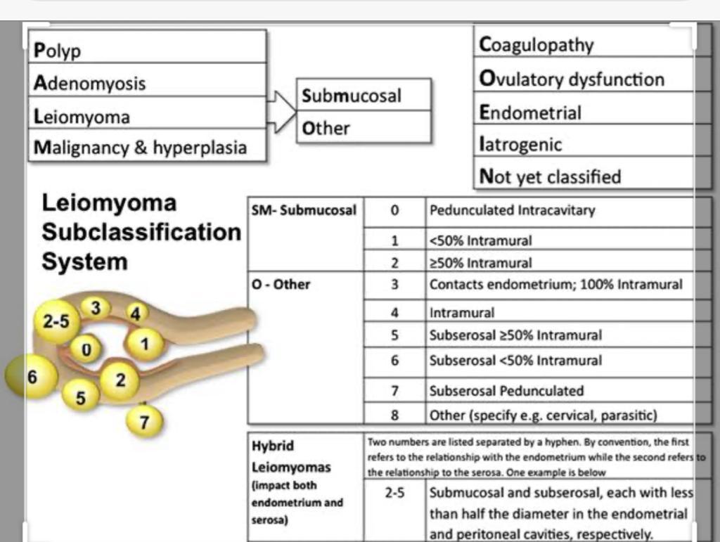 Abnormal Uterine Bleeding Causes Diagnosis And Treatment 